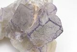 Purple Edge Fluorite Crystal Cluster - Qinglong Mine, China #205490-2